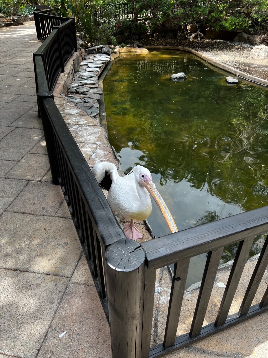 placeholder image sq