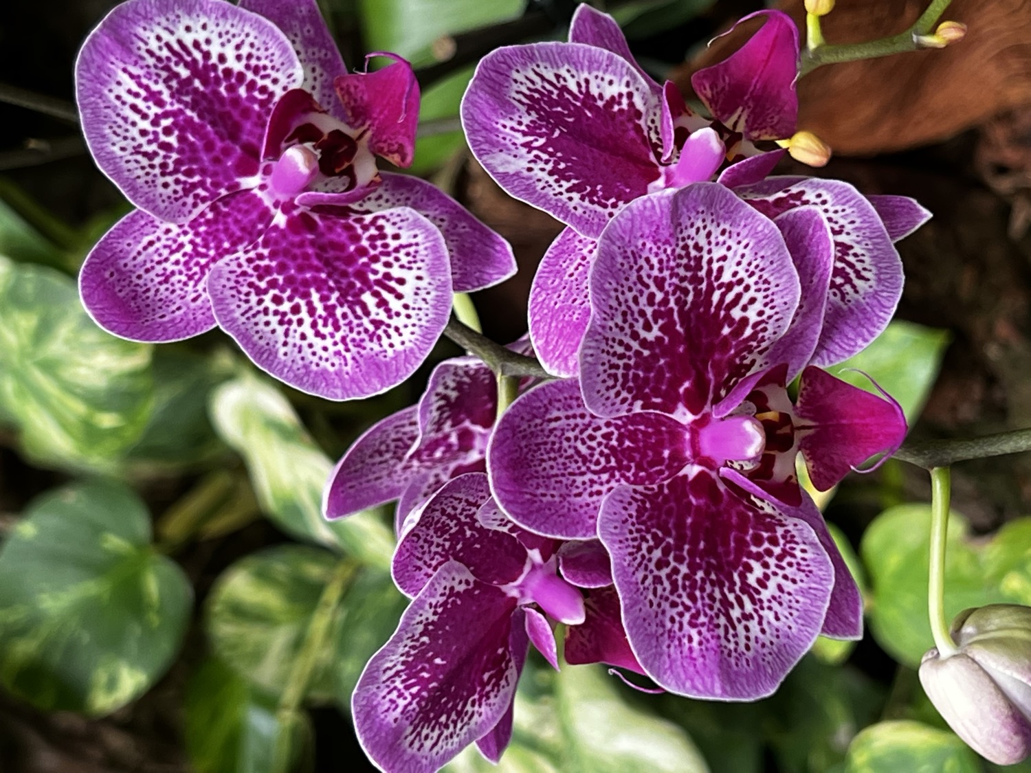 placeholder image sq