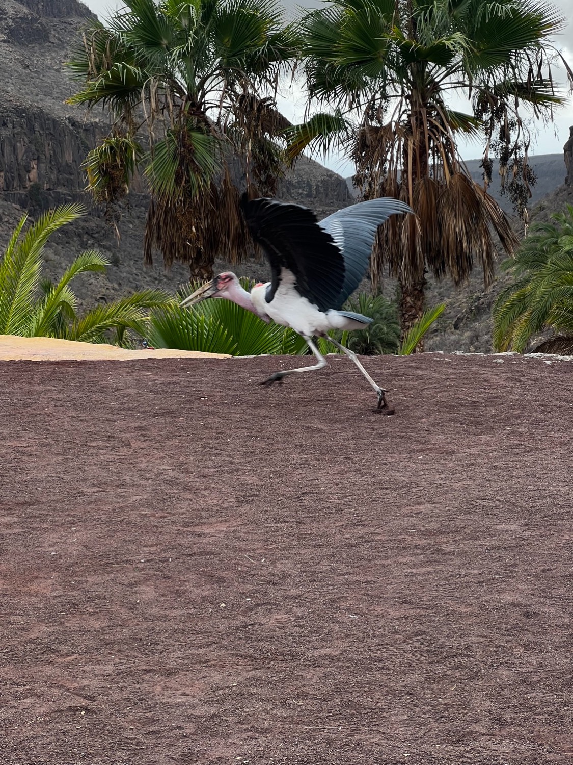 placeholder image sq