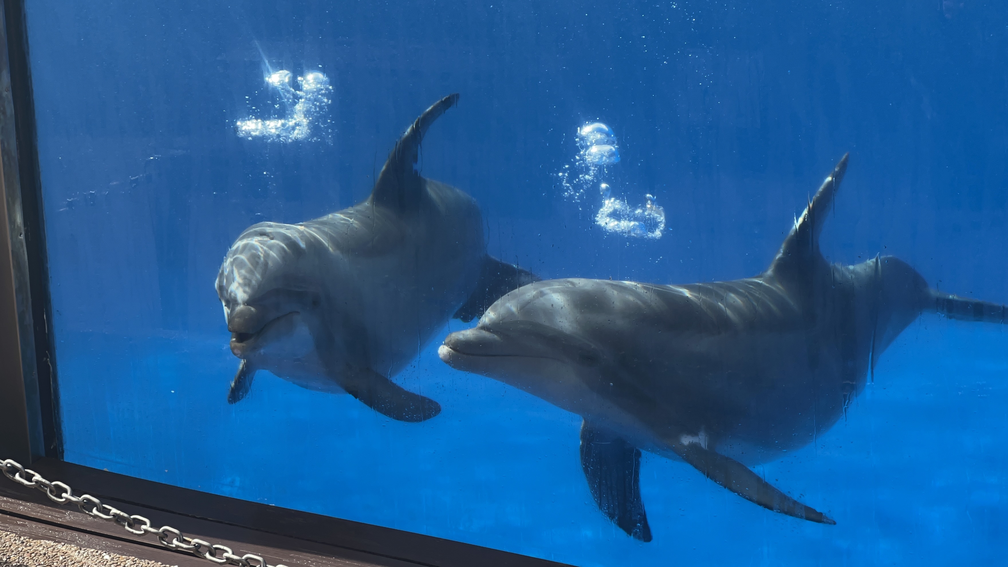 placeholder image sq