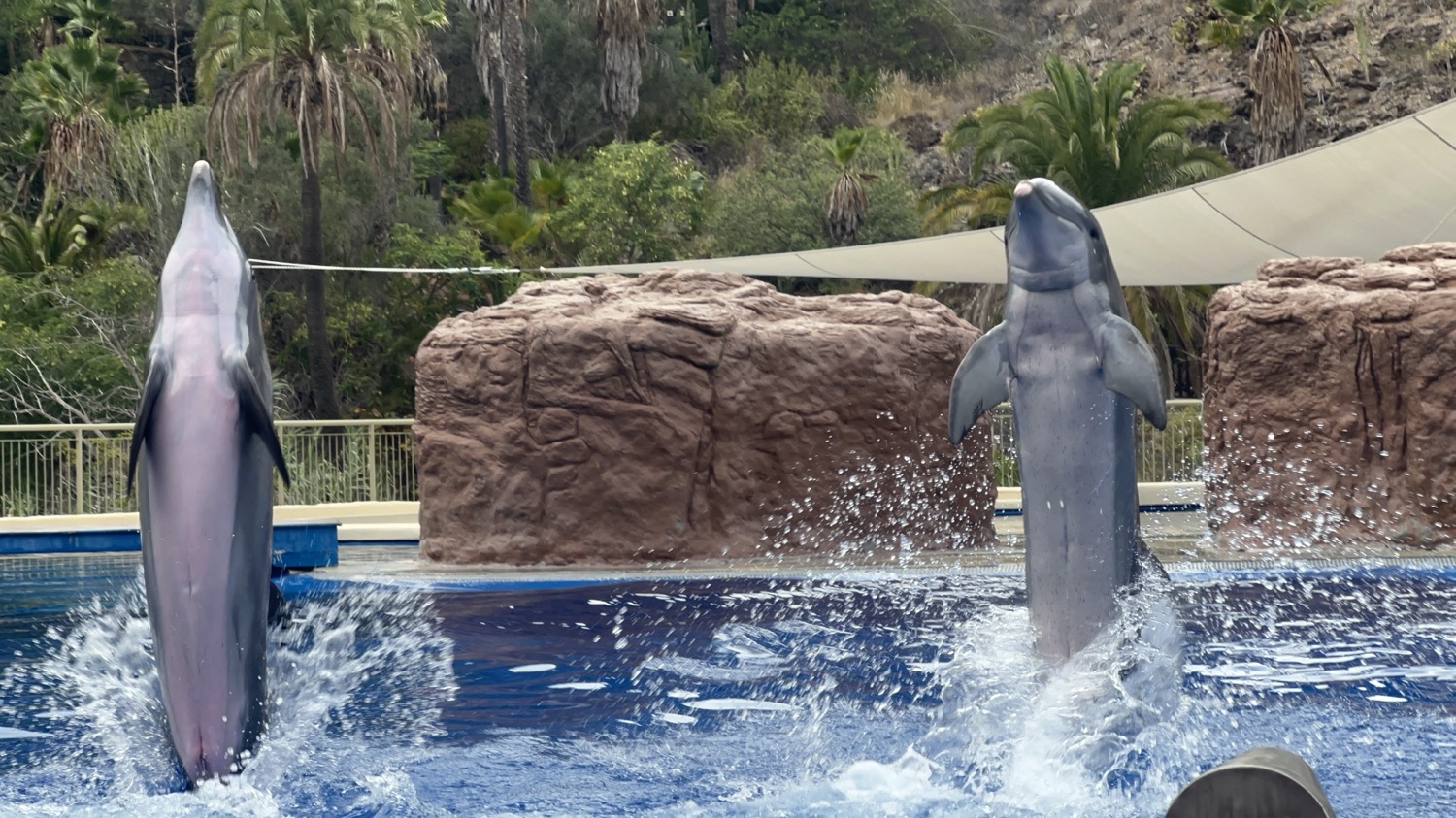 placeholder image sq