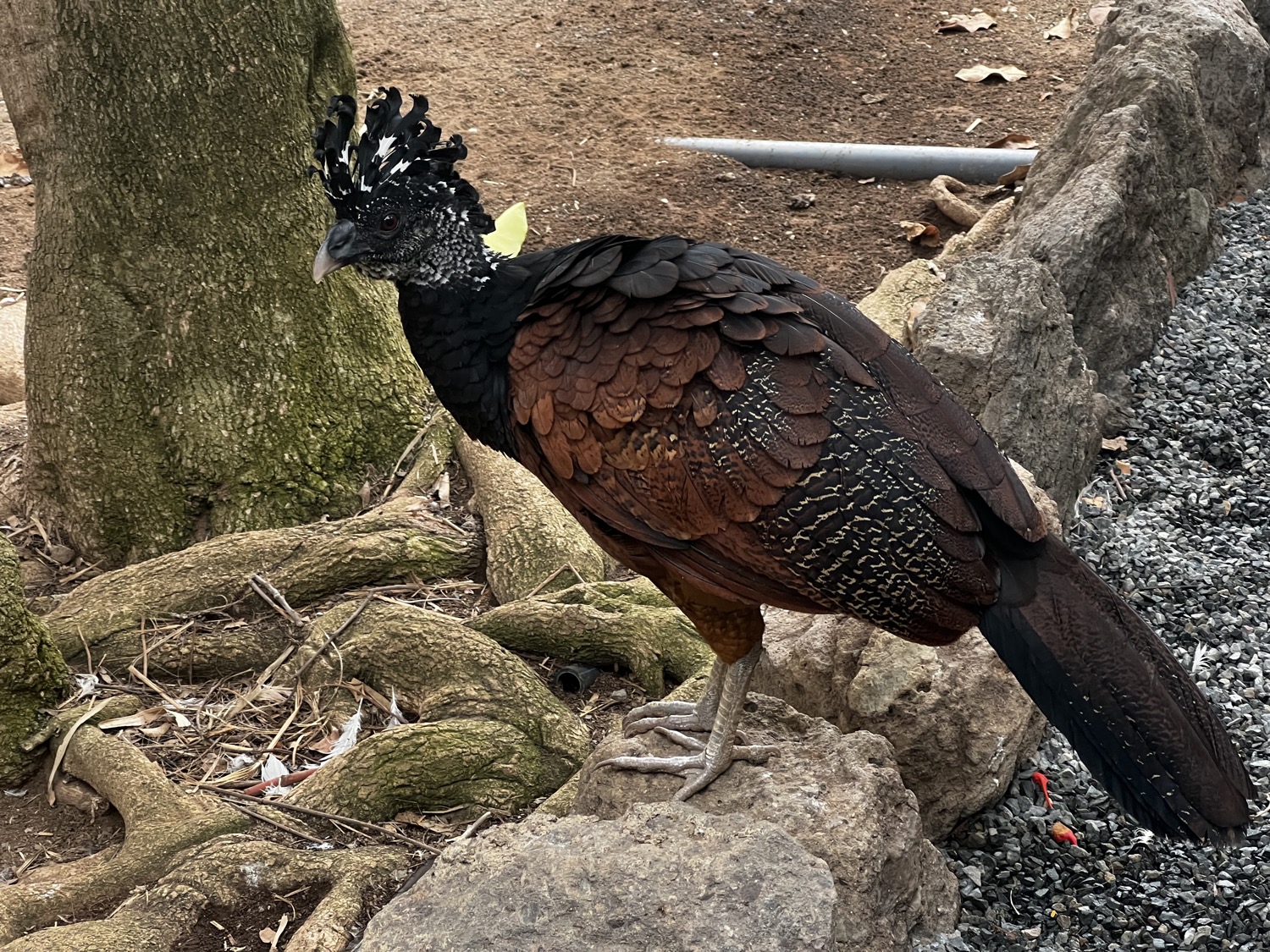 placeholder image sq