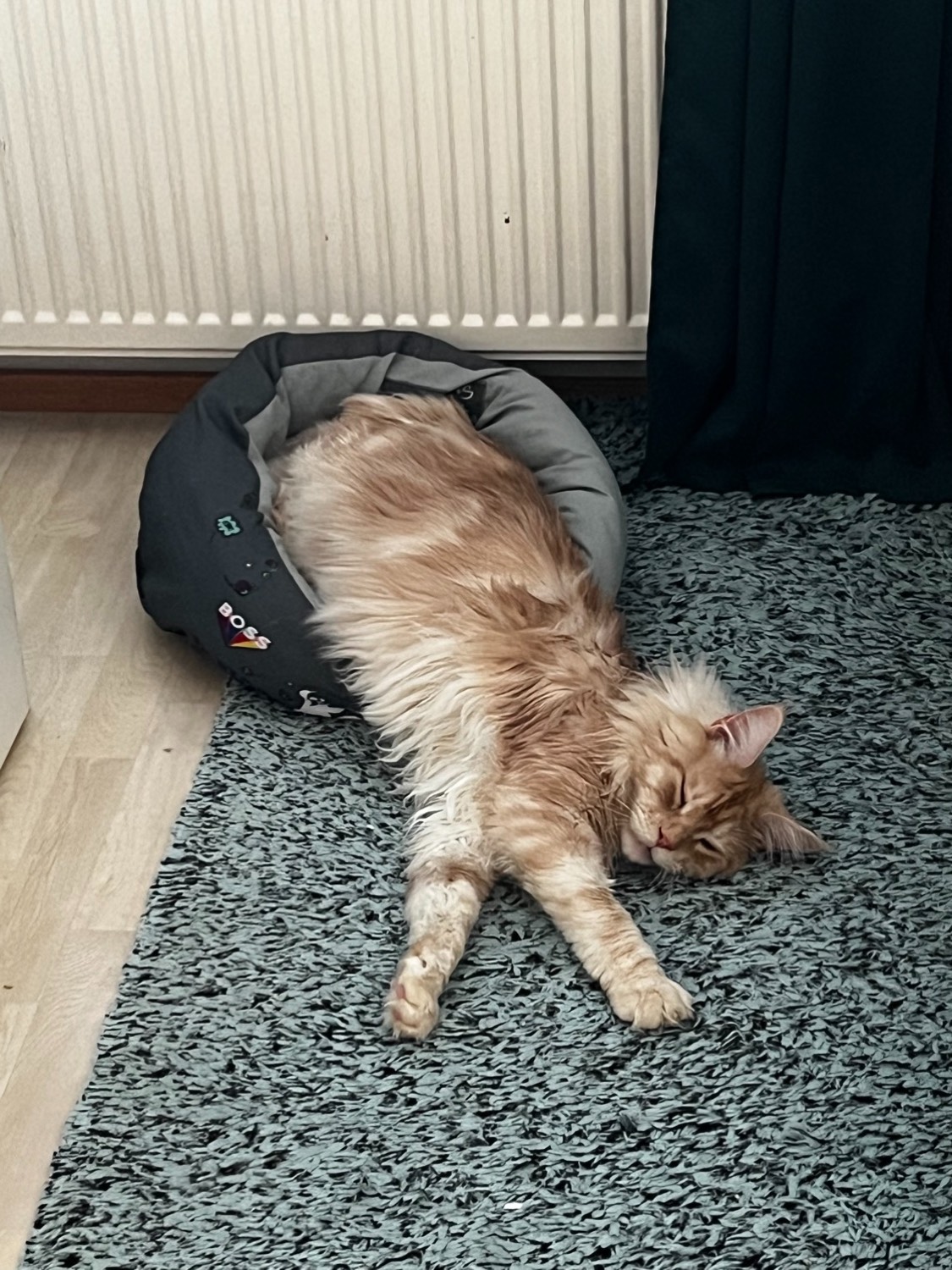 placeholder image sq