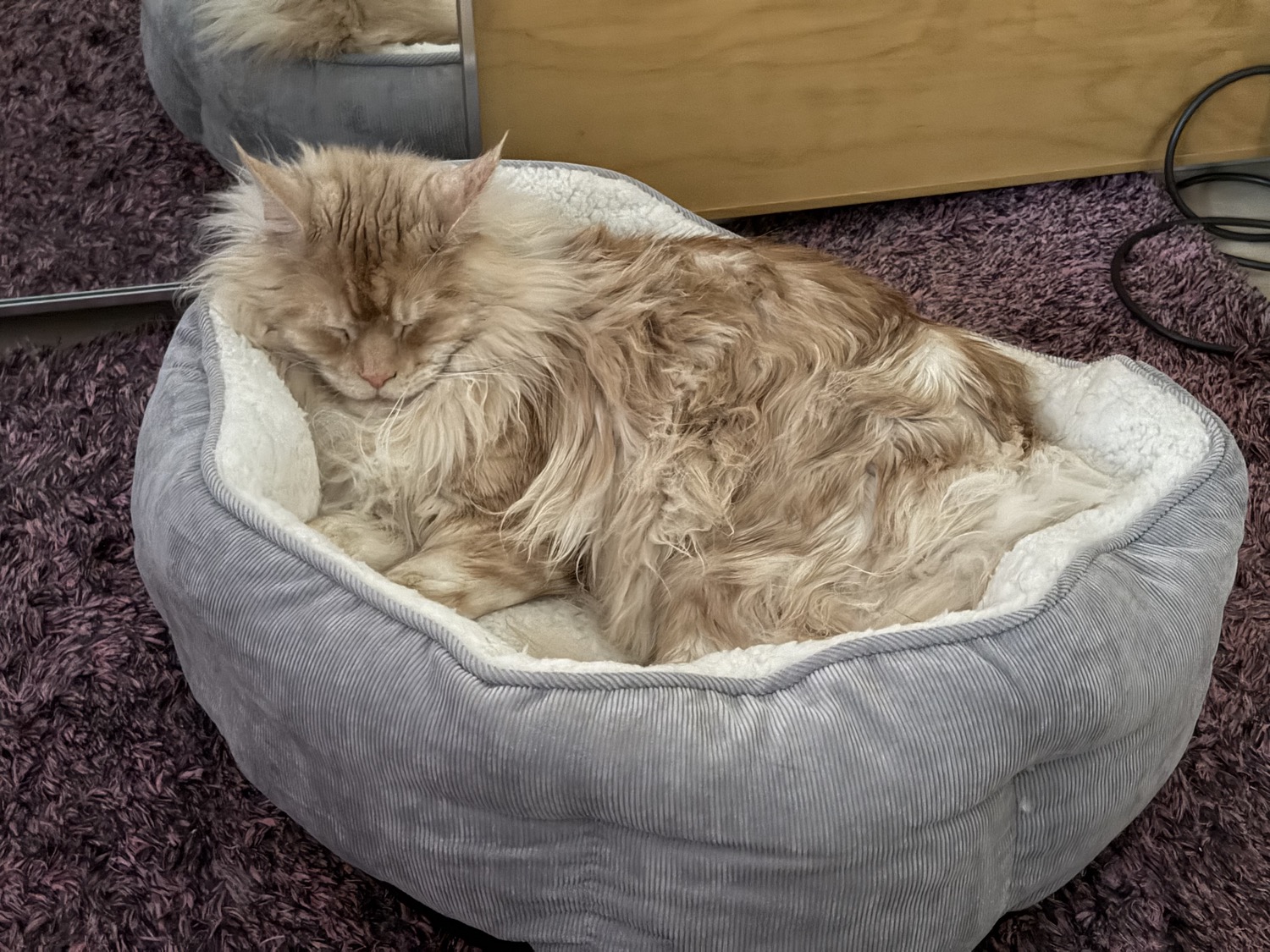 placeholder image sq