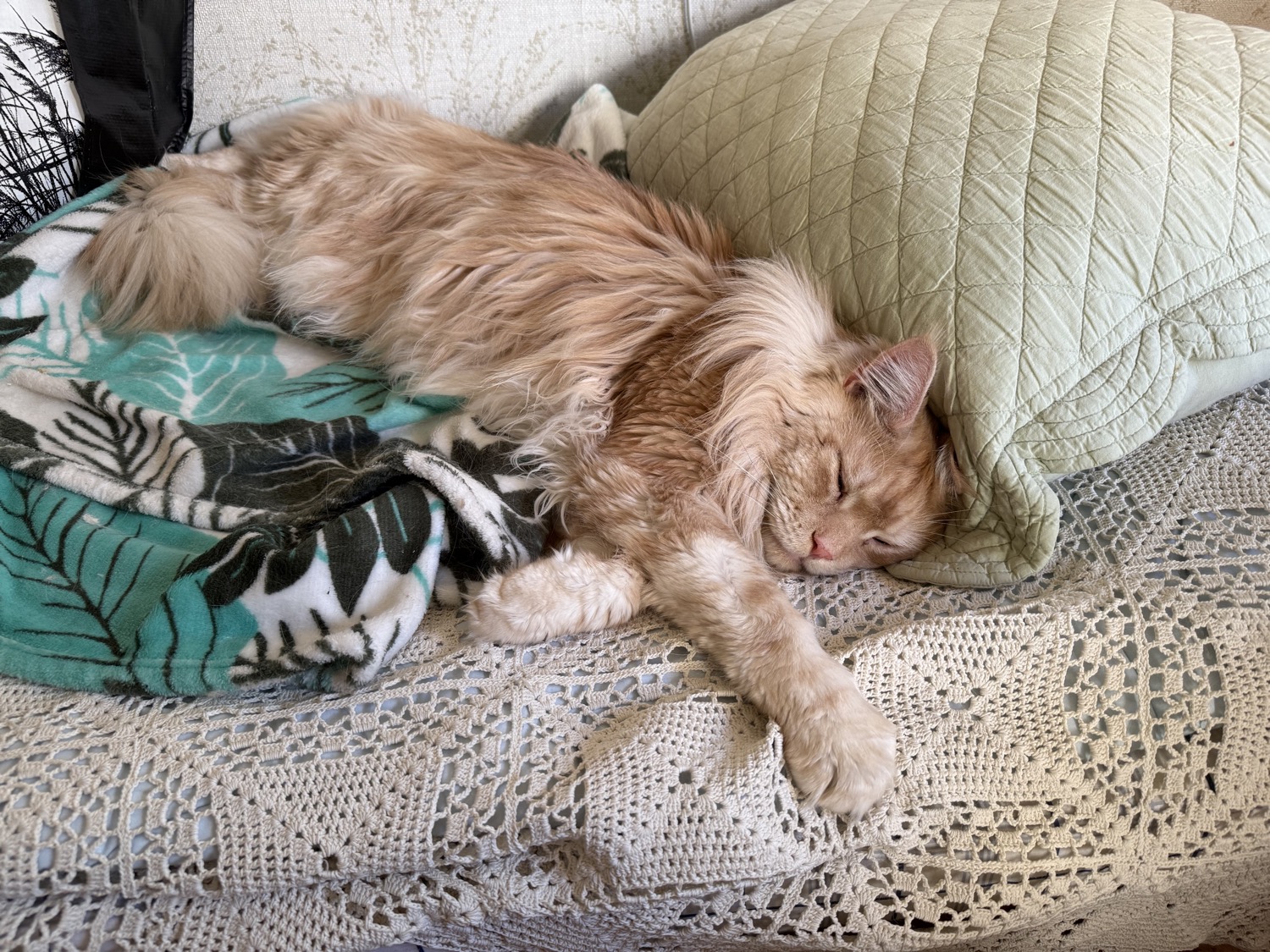 E5420F63 3D0E 4988 ABC9 DC0B315D1BD5_1_105_c.jpeg