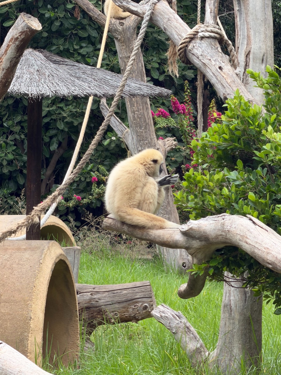 placeholder image sq