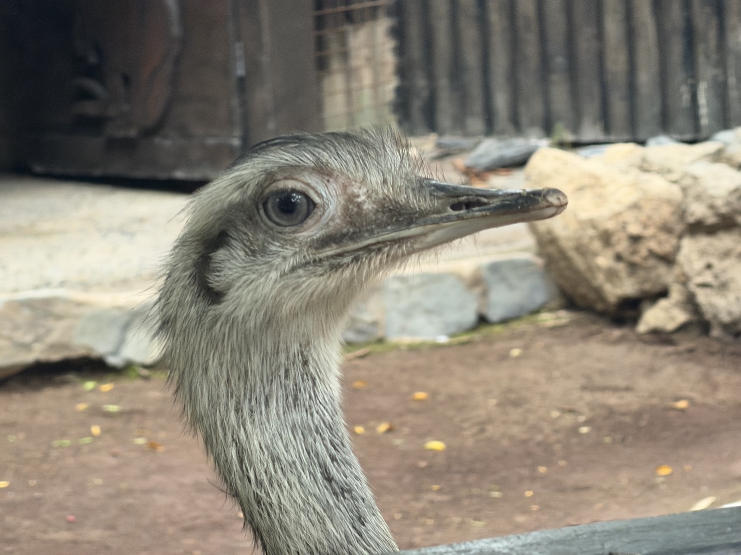 placeholder image sq