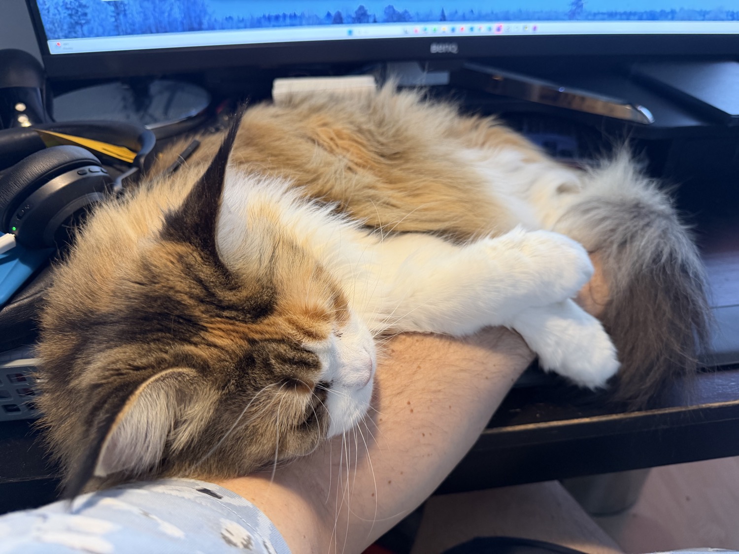 placeholder image sq