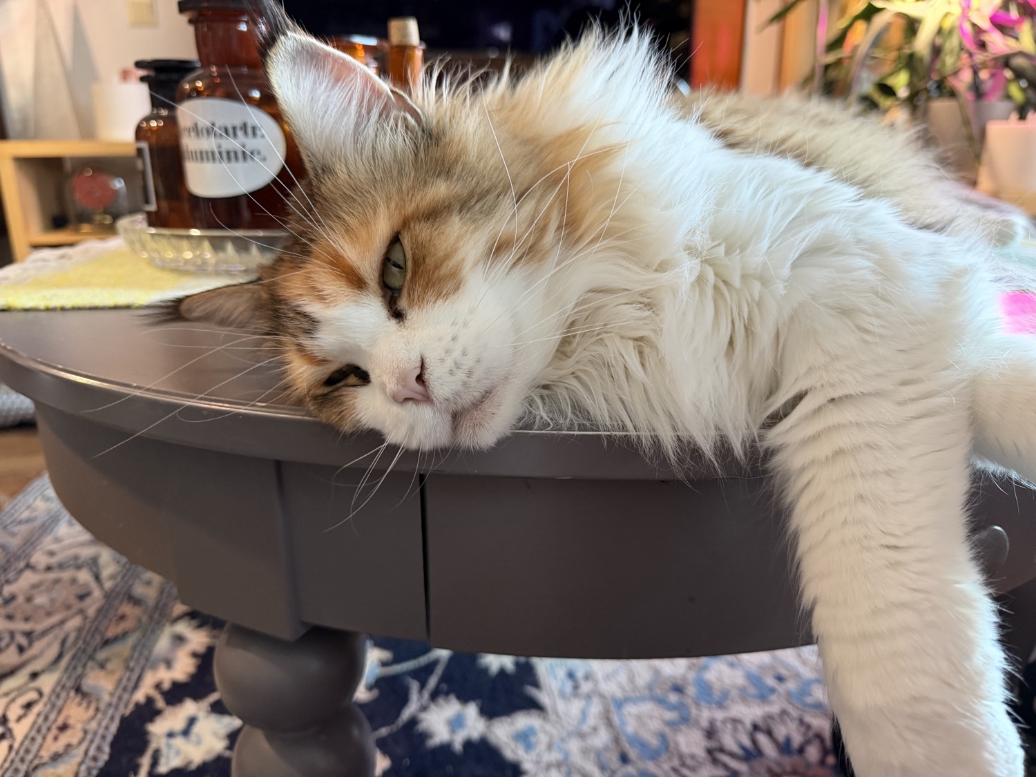 placeholder image sq