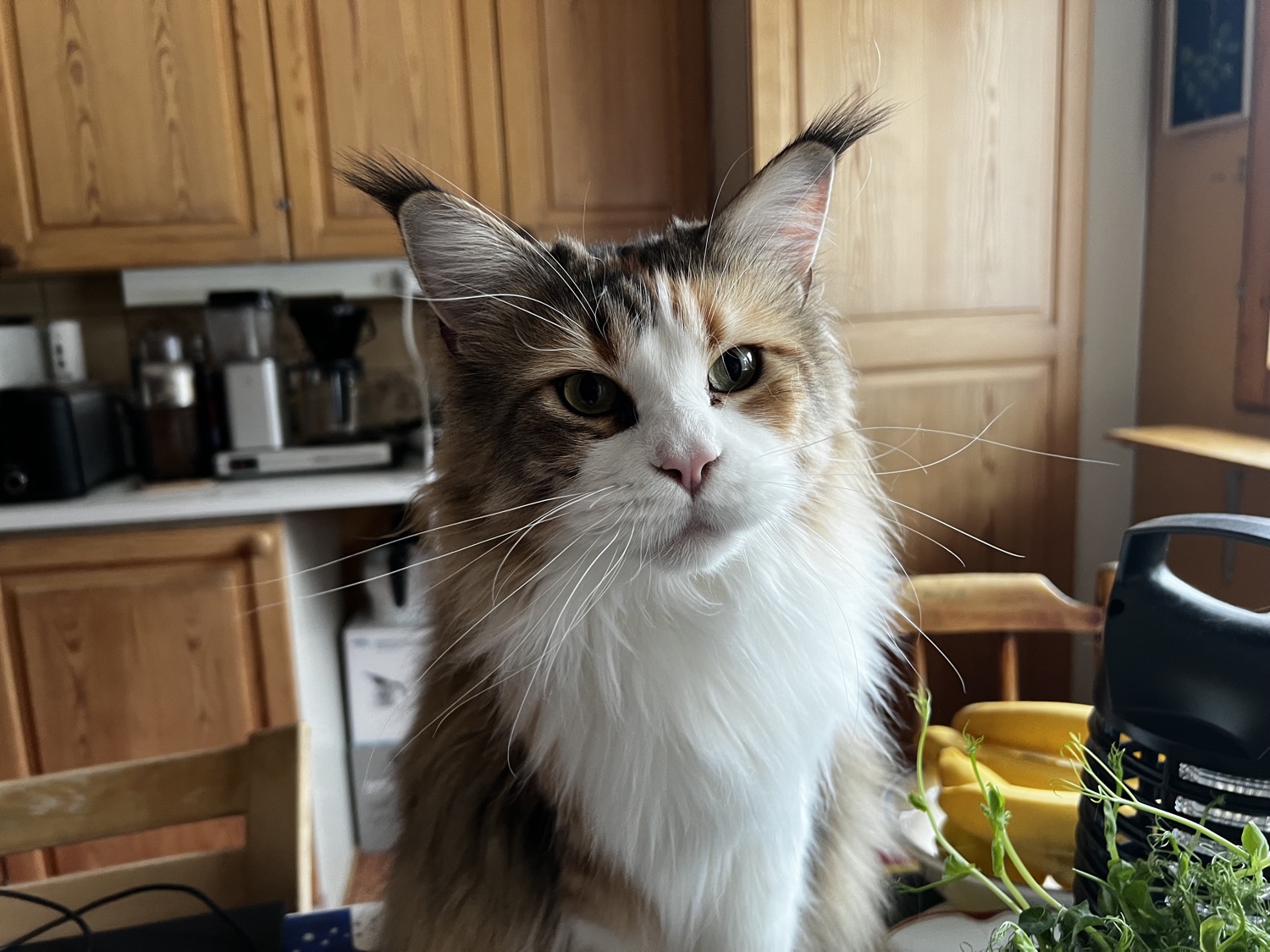 placeholder image sq